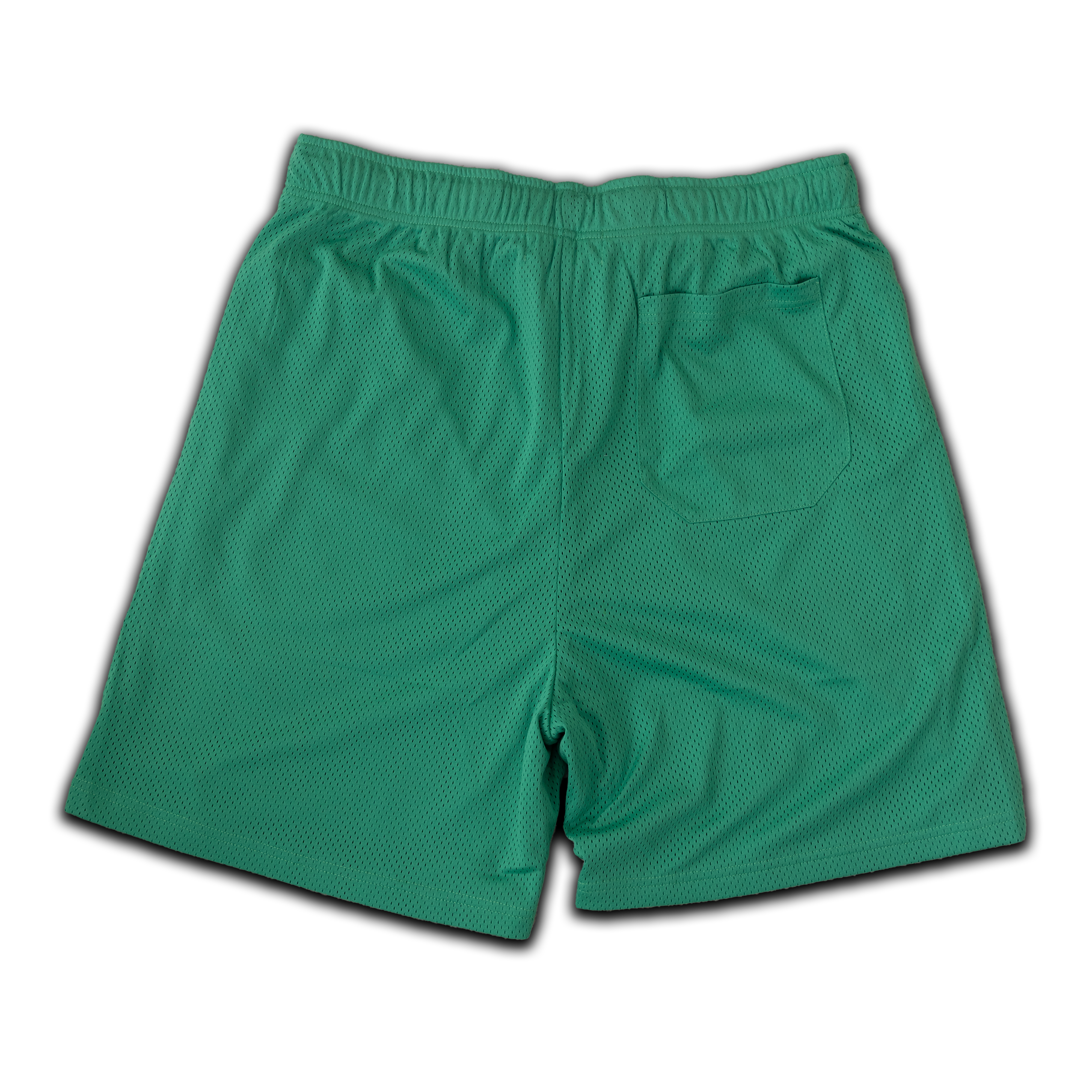 "Undaunted" Mesh Shorts (Green)